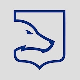 LDLC OL Channel Icon