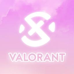 XSET VALORANT channel avatar