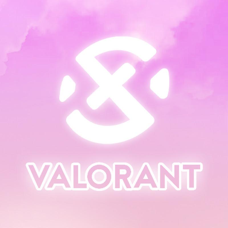 XSET VALORANT channel avatar