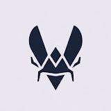 Team Vitality channel avatar