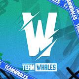 Team Whales Esports channel avatar