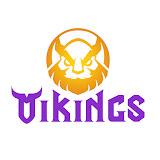 Vikings channel avatar