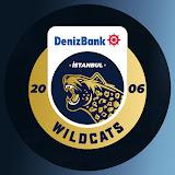 DenizBank İstanbul Wildcats channel avatar