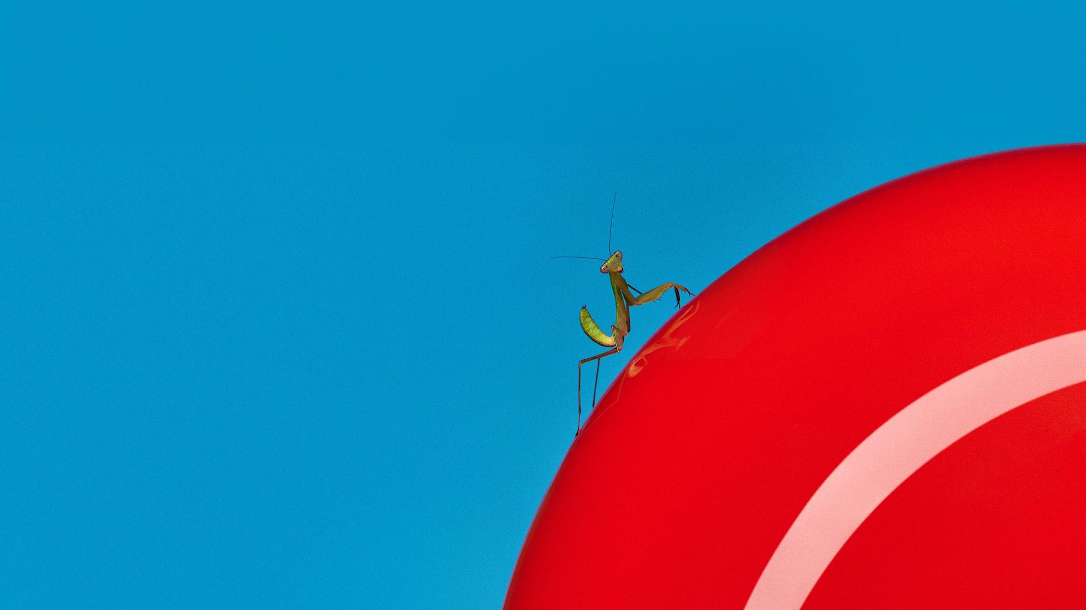 Robinhood channel background