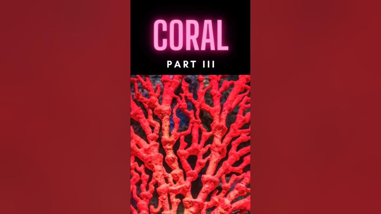 Coral III #shorts thumbnail