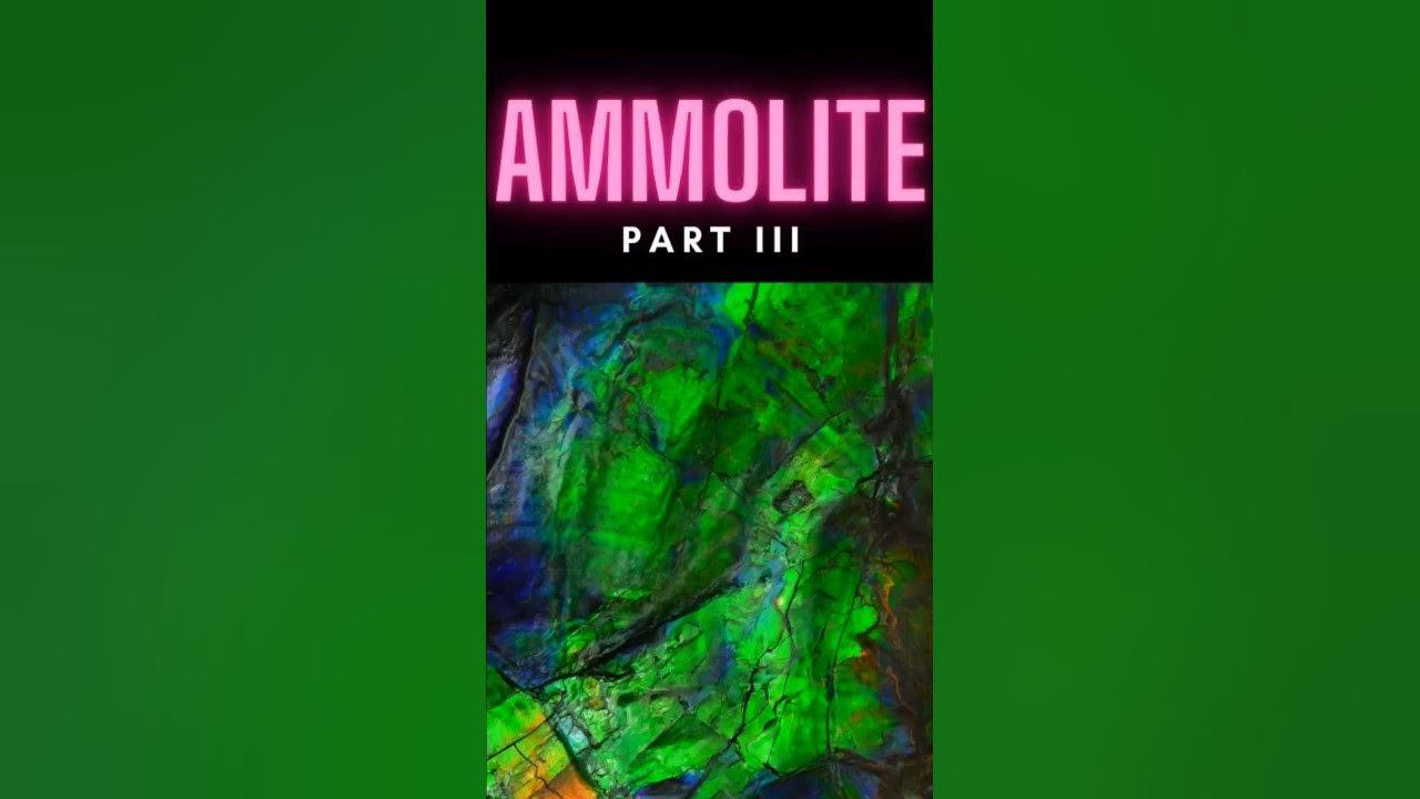 Ammolite III #shorts thumbnail