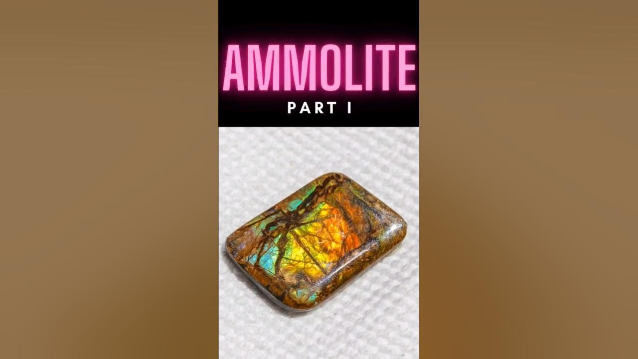 Ammolite #shorts thumbnail