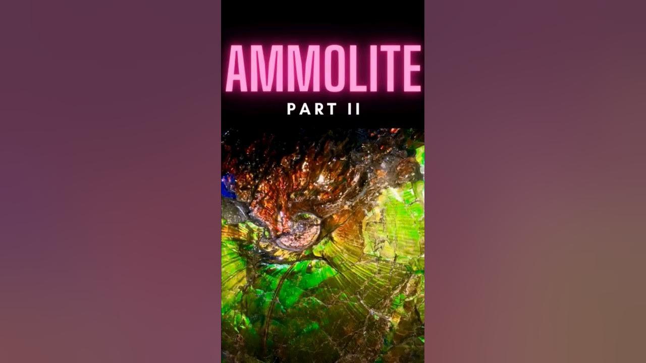 Ammolite II #shorts thumbnail