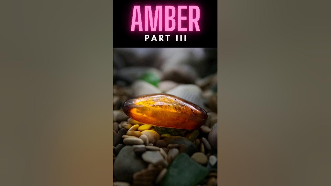 Amber III #shorts thumbnail