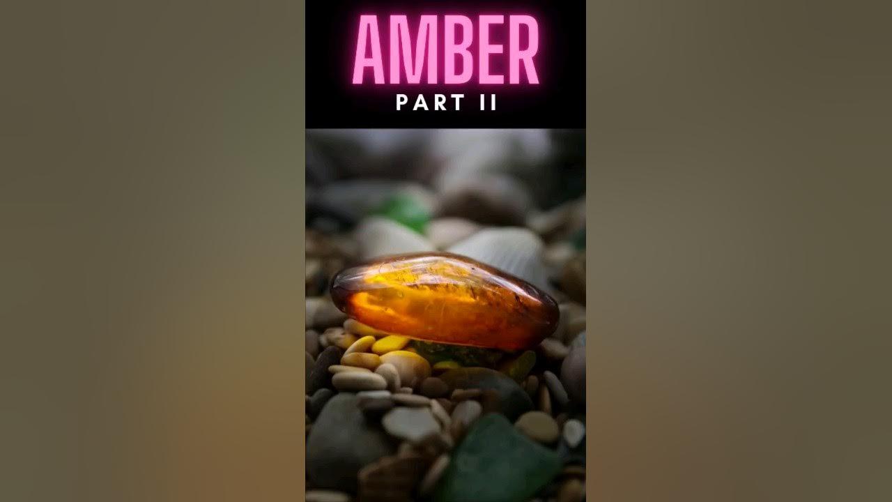 Amber II #shorts thumbnail