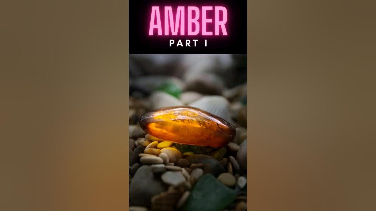 Amber #shorts thumbnail