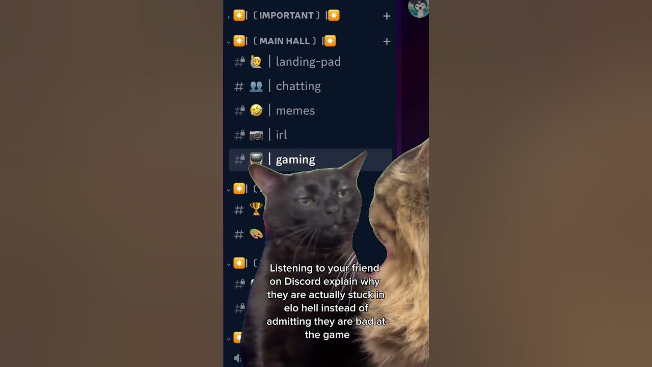 Black Cat Zoning Out on Discord thumbnail