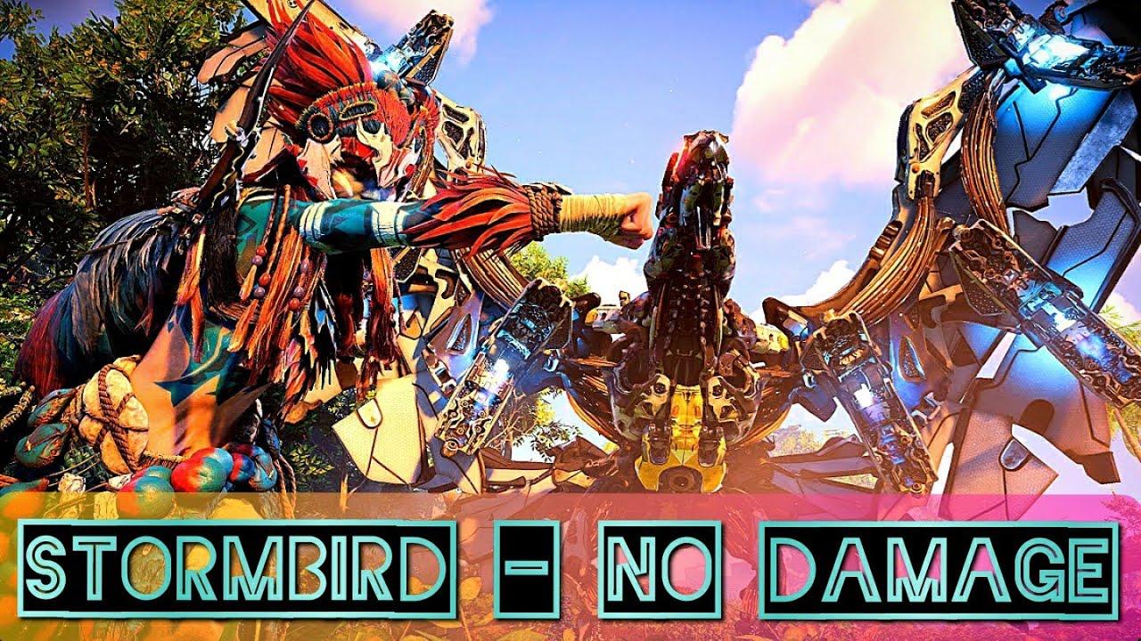 STORMBIRD NO DAMAGE FIGHT | Mastering Horizon Forbidden West Combat thumbnail