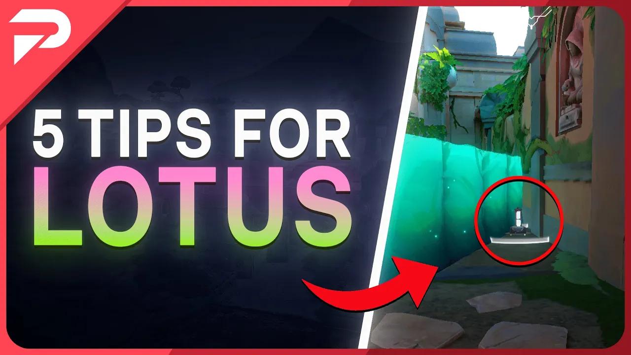 5 Essential Tips For Lotus thumbnail