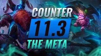 COUNTER THE META: How To DESTROY OP Champs for EVERY Role - League of Legends Patch 11.3 thumbnail