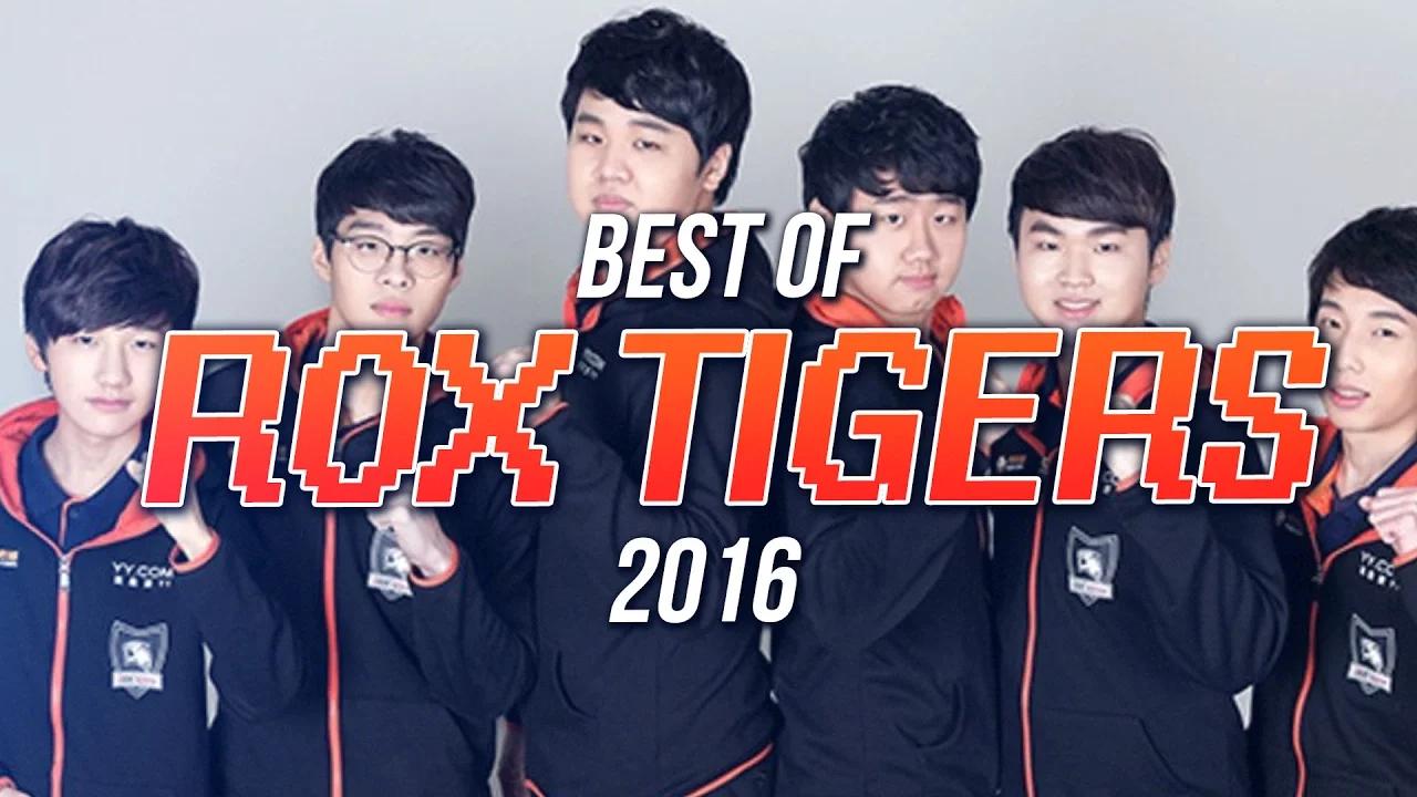 BEST OF ROX TIGERS 2016 thumbnail