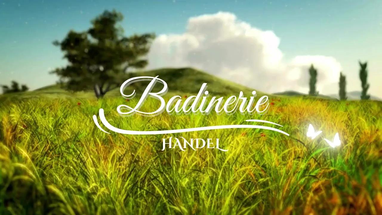 J.S. BACH: Badinerie thumbnail