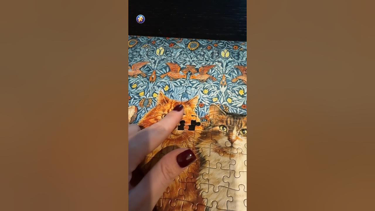 The last puzzle #magicjigsawpuzzles #puzzlegame #puzzletime #puzzlelovers #puzzles #cats #catshorts thumbnail