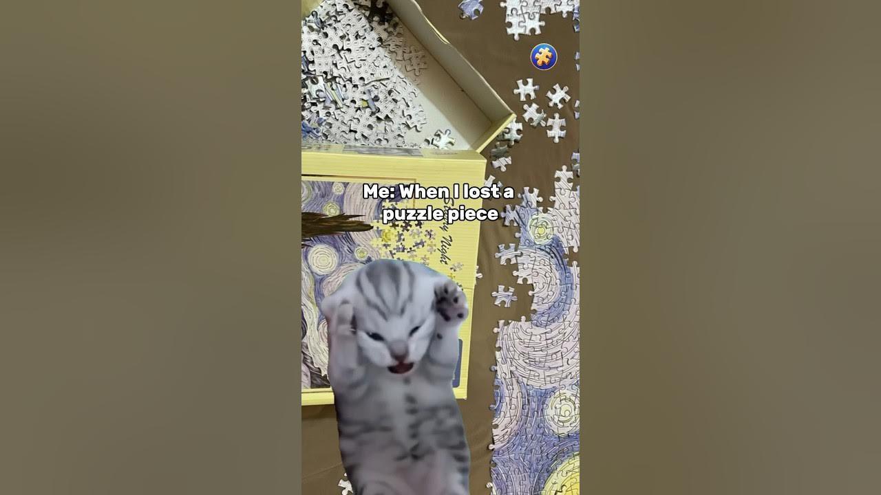 #puzzlelovers #puzzles #puzzletime #puzzlegame #mjp #memesvideo #catsofyoutube #puzzleme thumbnail