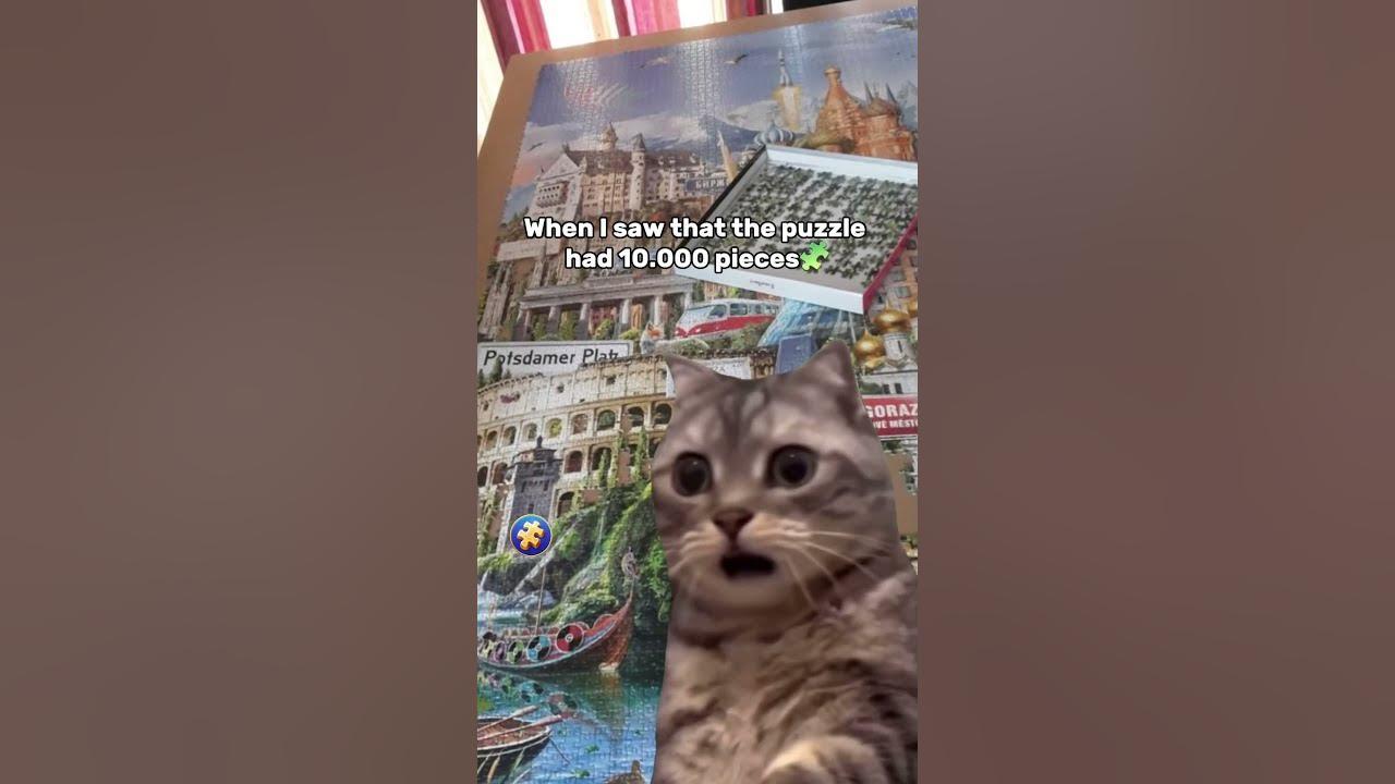 #puzzles #puzzlememes #catsmemes #puzzlelovers #puzzletime #magicjigsawpuzzles thumbnail