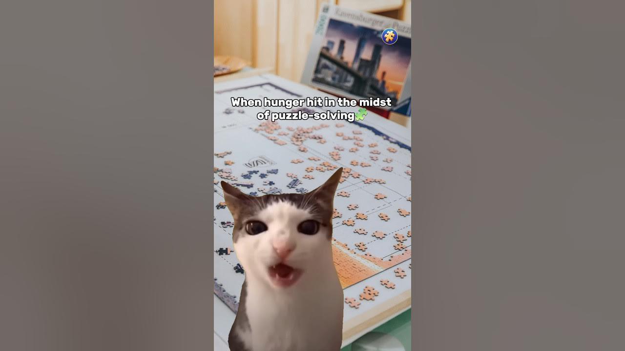 My puzzle routine🧩 #puzzles #puzzlelovers #puzzletime #puzzlememes #catsofyoutube #catsmemes thumbnail