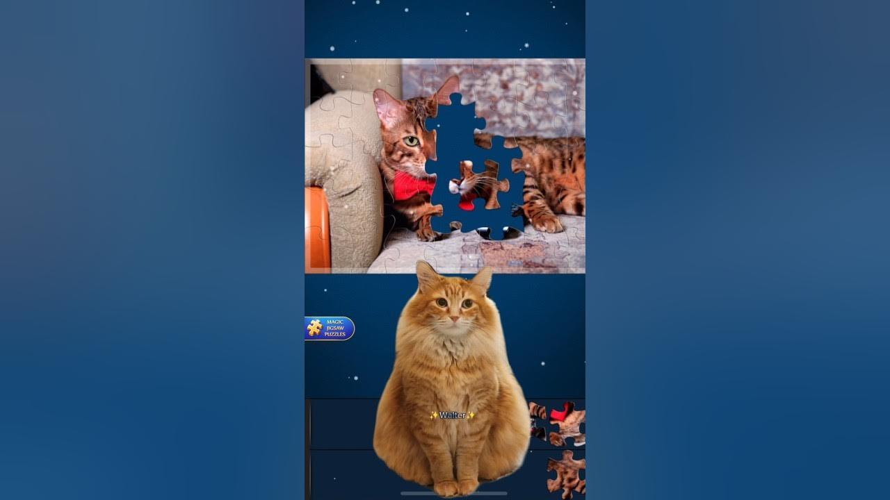 Guilty cat😹 #puzzles #puzzlelovers #puzzletime #puzzlecommunity #magicjigsawpuzzles #puzzlegame thumbnail