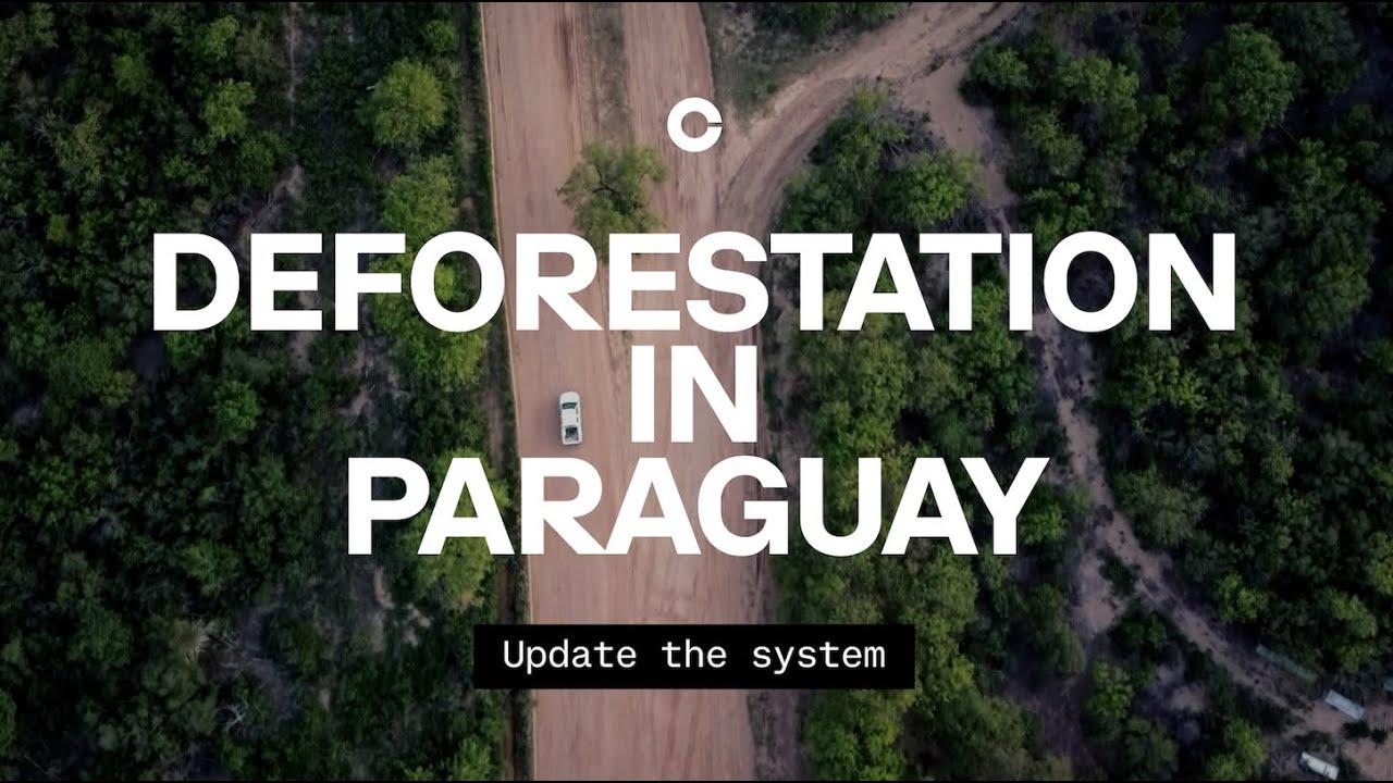 Update the system: Deforestation in Paraguay thumbnail