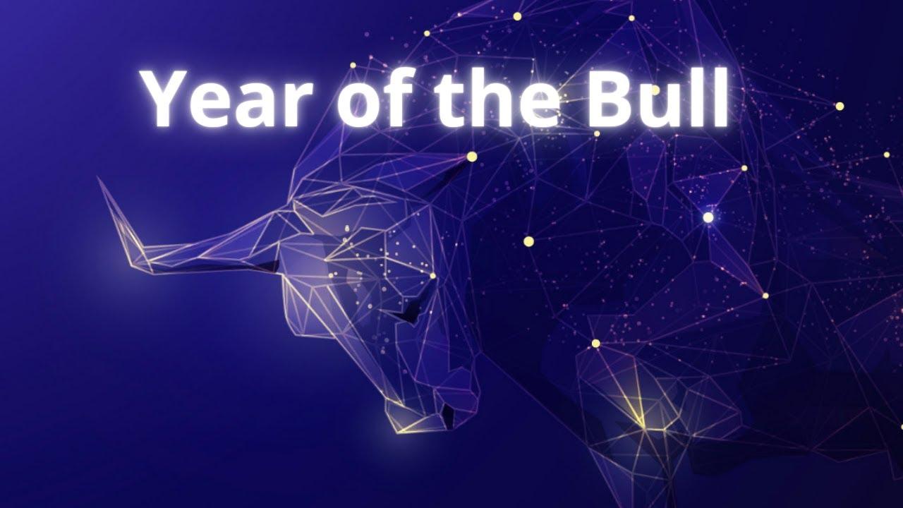 The Year of the Bull thumbnail