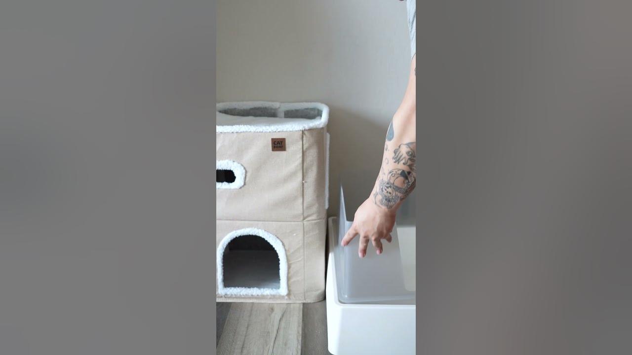 Amazon.com is a one-stop shop for pet-approved upgrades. Bonus: the cardboard box comes free. thumbnail