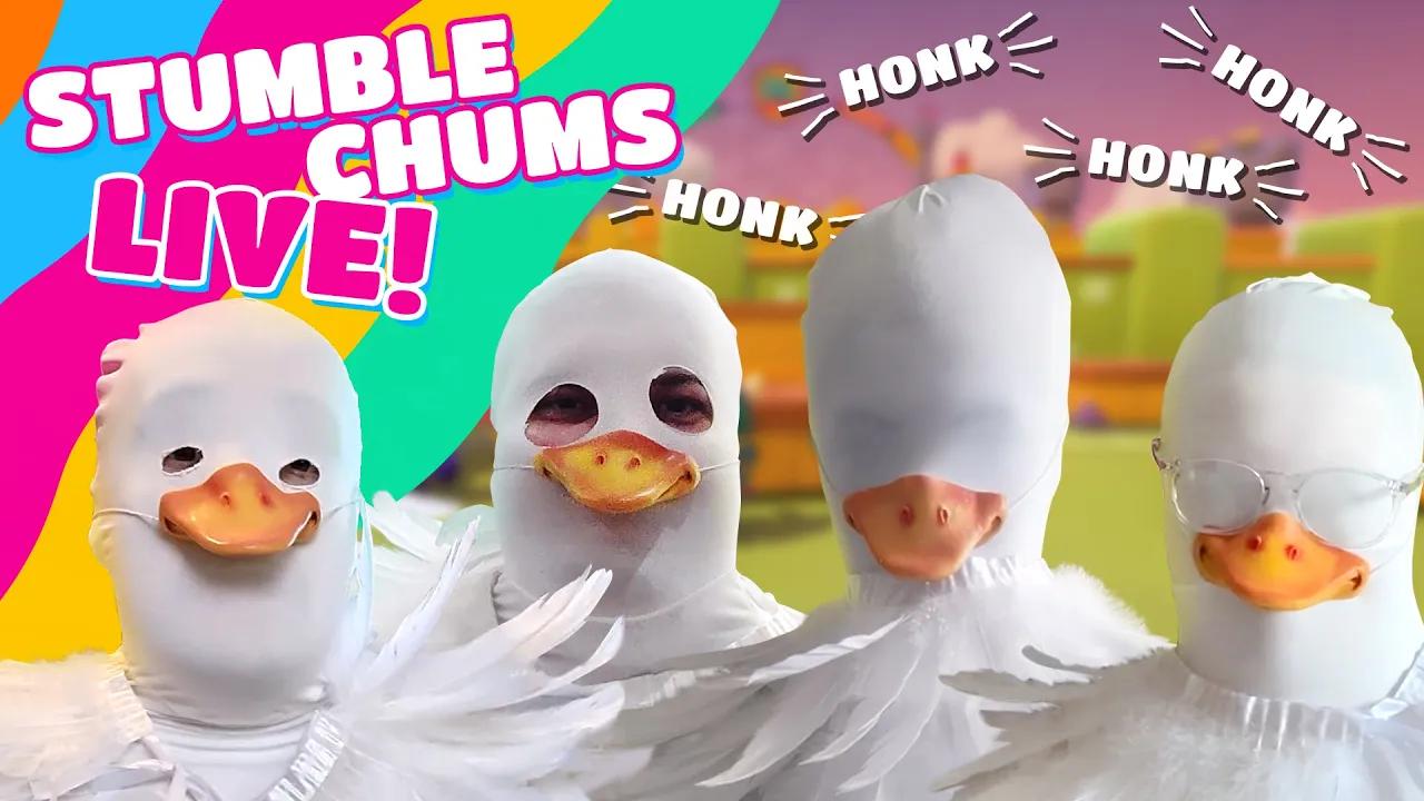 Untitled Goose Unleashed!! Stumble Chums Live Highlights thumbnail