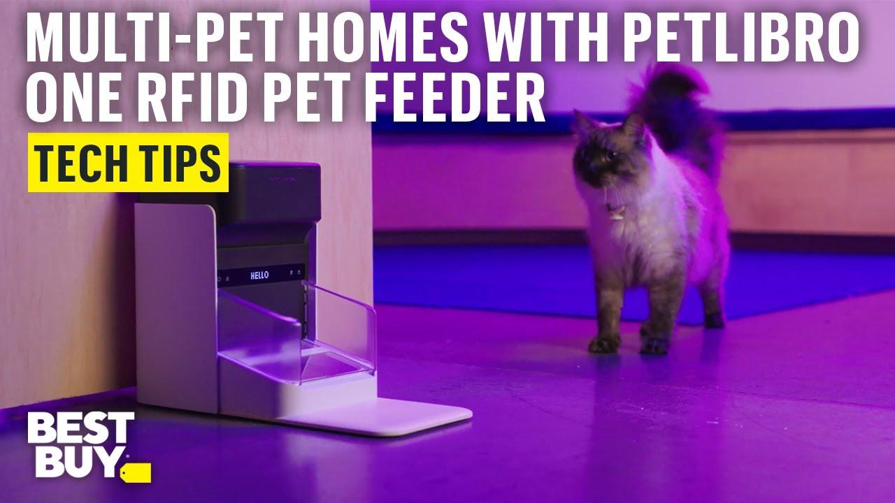 Using the PETLIBRO One RFID Pet Feeder in Multi-Pet Homes – Tech Tips from Best Buy thumbnail