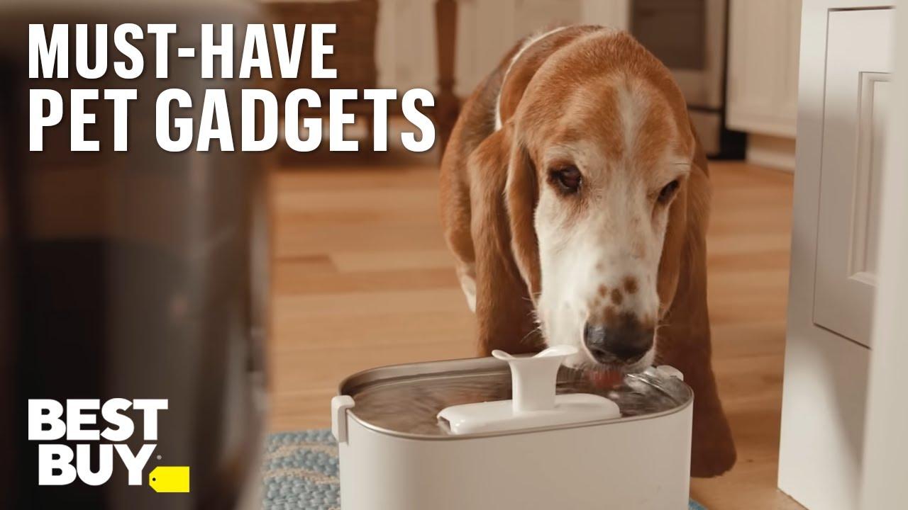 5 Must-Have Gadgets for Your Pets - from Best Buy thumbnail