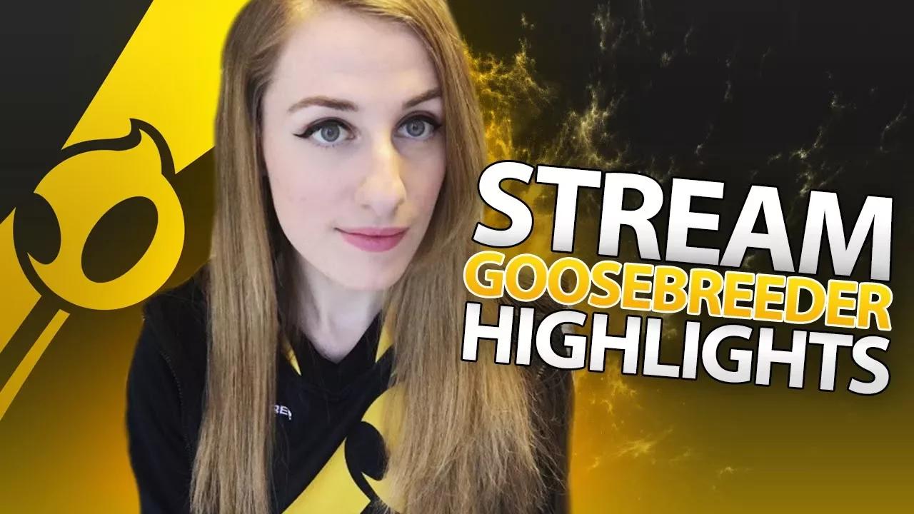 Stream Highlights | Goosebreeder - Pro Female CS:GO Player thumbnail