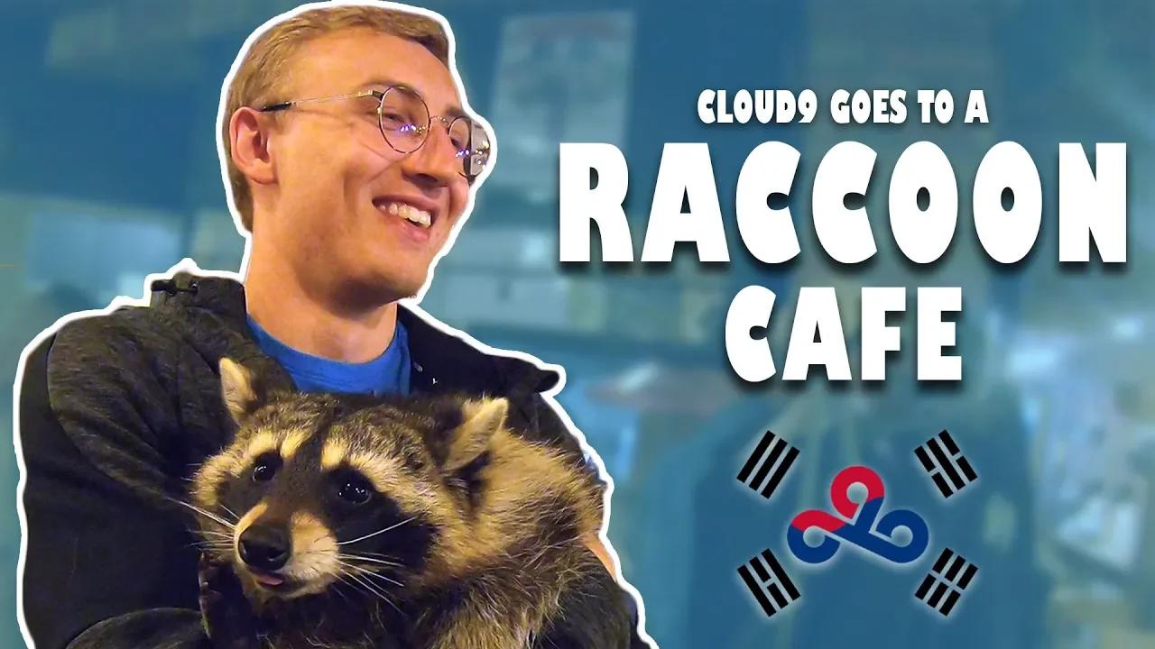 Cloud9 Vlog | Raccoon Cafe thumbnail