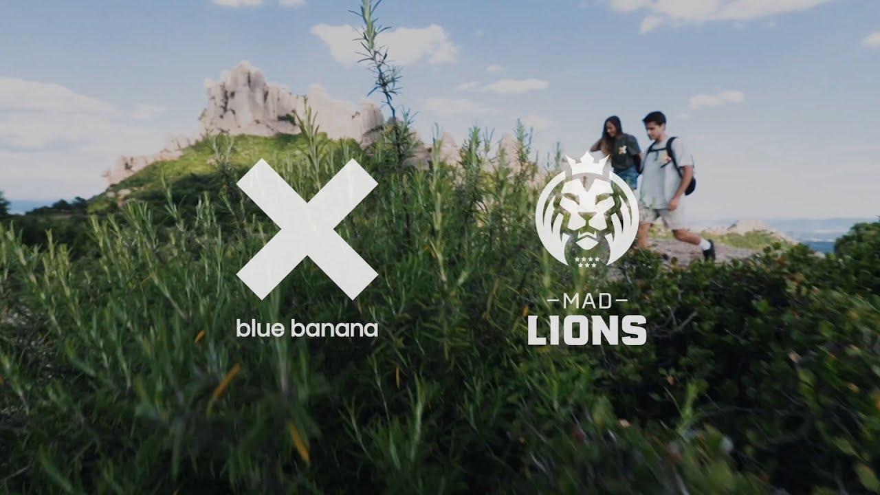 Introducing the MAD Lions x blue banana Collection thumbnail