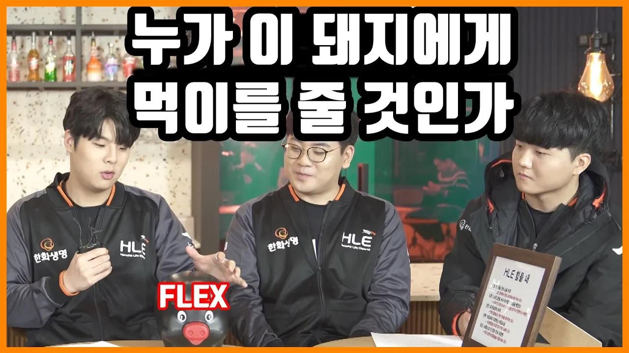 새로운 가족 조공돼지를 소개합니다! [HLE] thumbnail