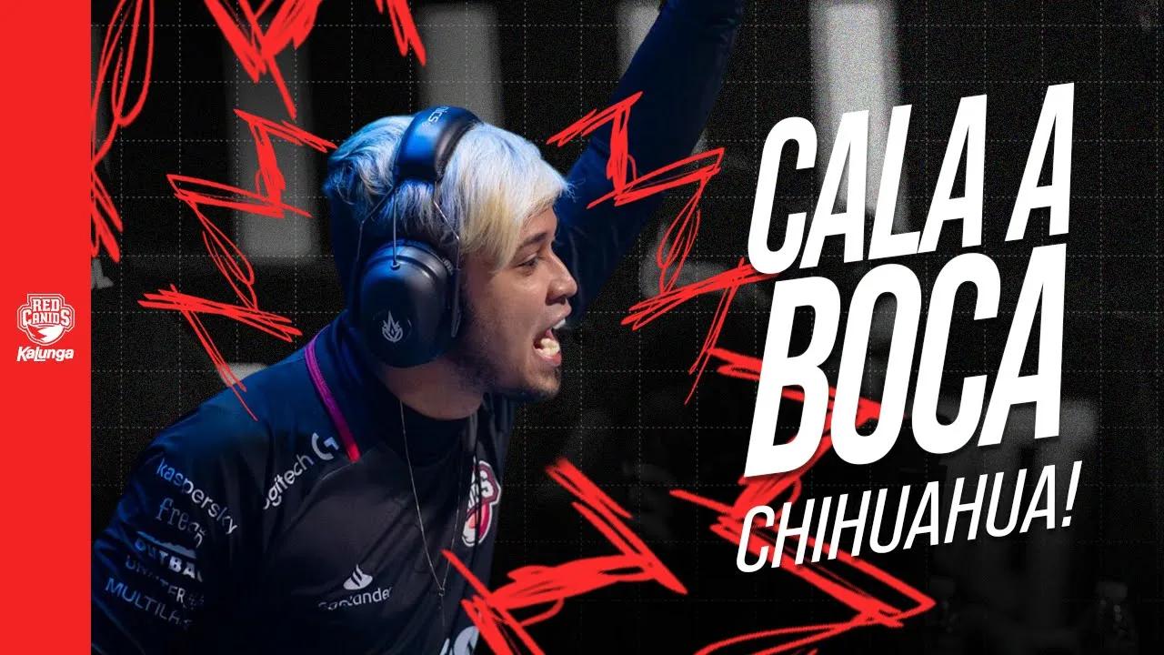 Silêncio no canil! - RED Vlog CBLOL #15 thumbnail