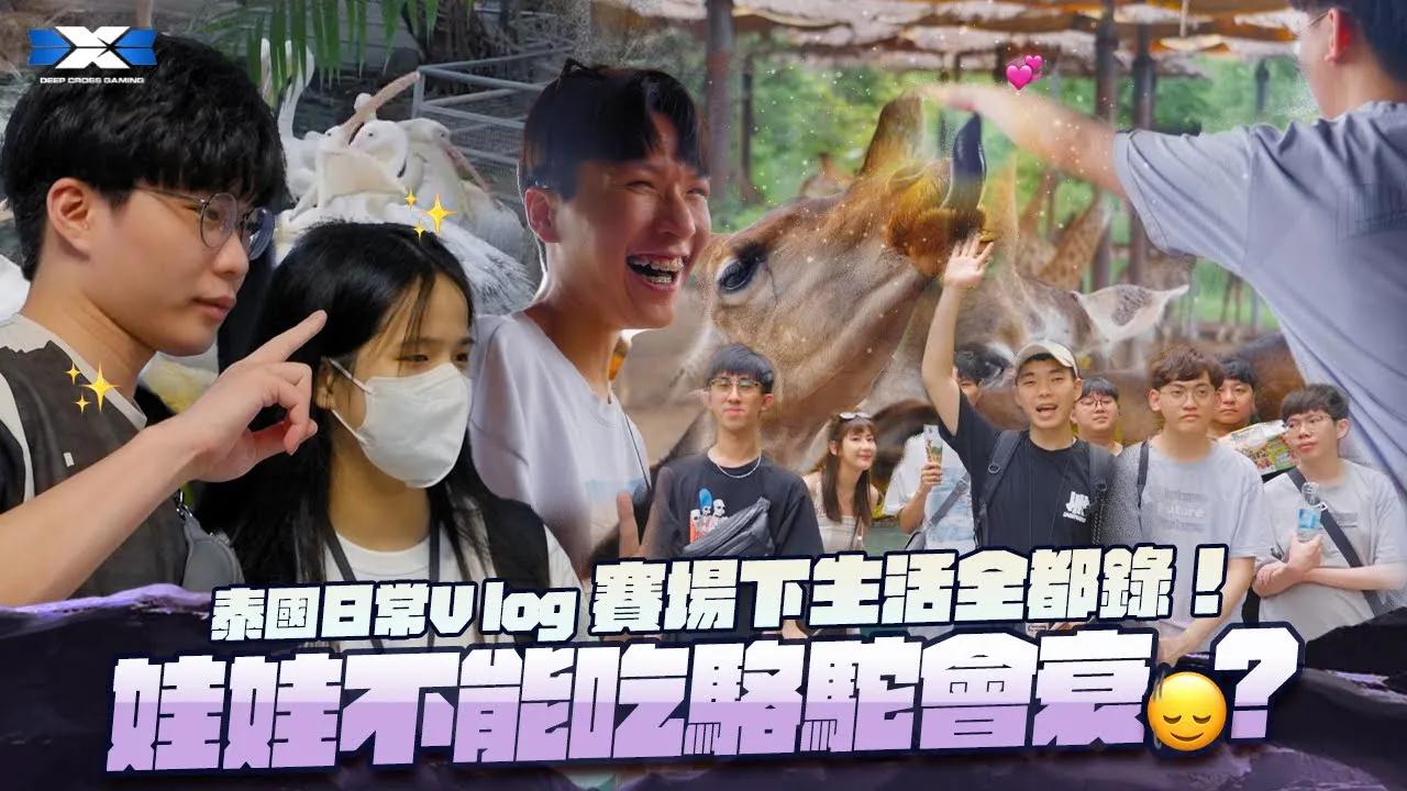 DCG AOV | 泰國日常Vlog~ 賽場下生活全都錄！機場、棚拍、動物園全都有啦！ | APL曼谷大挑戰 | thumbnail