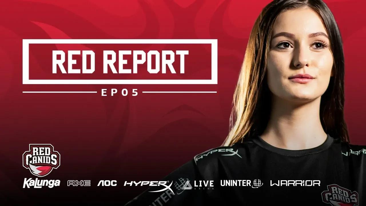 Titan e Galfi na matilha! - RED Report #05 thumbnail