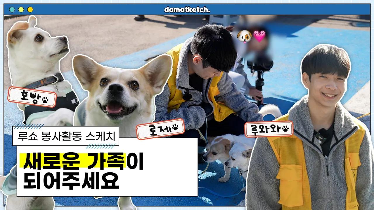 [담았케치] 루쇼 봉사활동 현장 스케치 - 새로운 가족이 되어주세요🐶 thumbnail