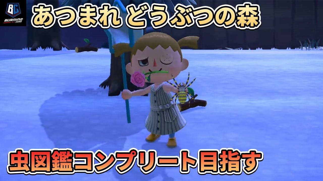 あつまれ どうぶつの森 タランチュラ捕まえて虫コンプリート目指す thumbnail