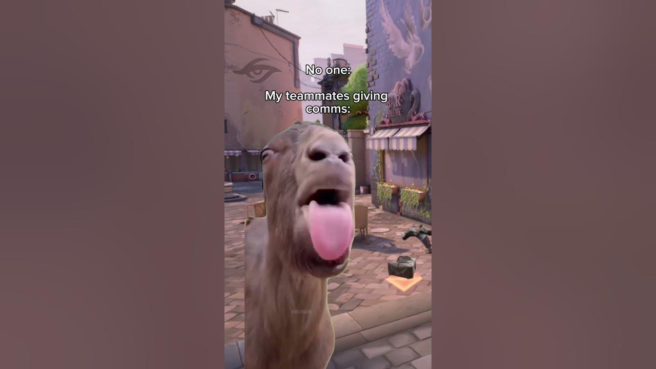 And then they don't understand why we lost💀#teamsecret#labansecret#itlieswithin#valorant#vctpacific thumbnail