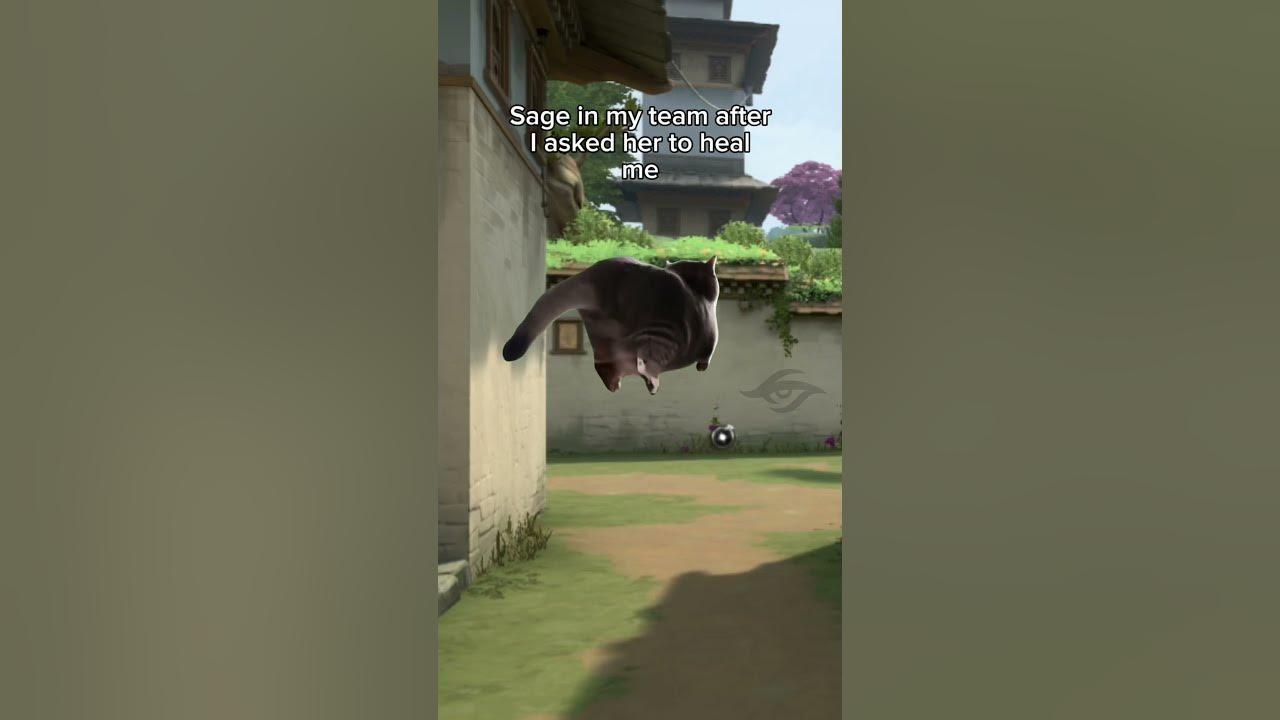 Sage players when you ask them to heal you #teamsecret #labansecret #itlieswithin #valorantmemes thumbnail