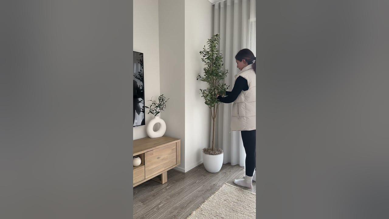 Save on the viral olive tree and other home décor faves during Black Friday week. 🫒 #amazonfinds thumbnail