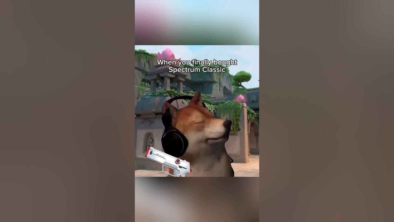 DUDUDUDU DUDUDU DUDU#teamsecret #itlieswithin #labansecret #valorant #valorantfunny #valorantmemes thumbnail